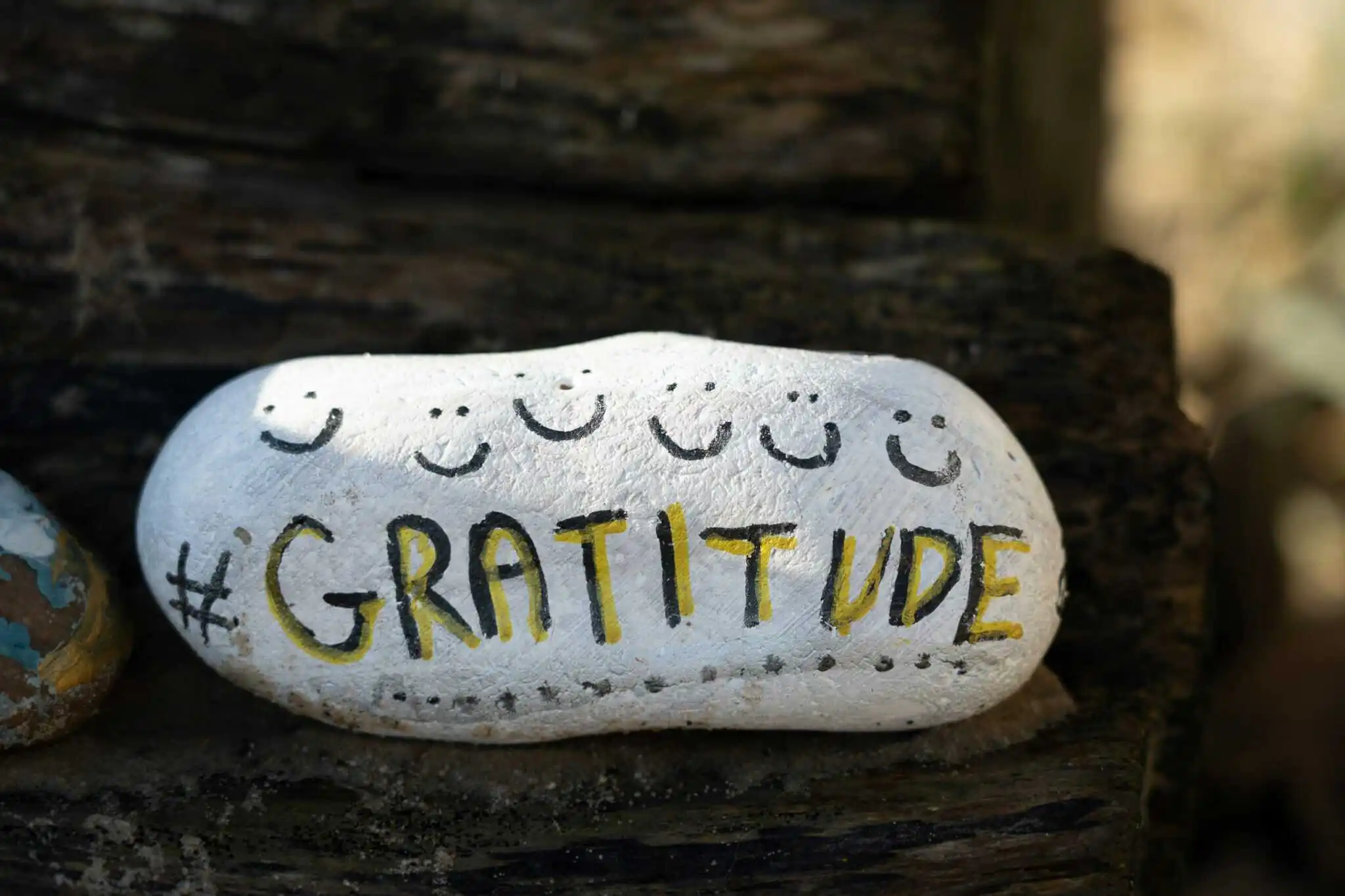Cognition, and Meaning: A Thanksgiving Reflection on AI and Identity